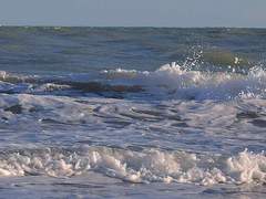 구월일일은구원의날