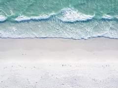 바다에서 온 선물