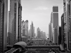 쌍둥이 이론. 중