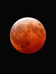 [현성/우규/장편] 붉은 눈의 그림자