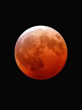 [현성/우규/장편] 붉은 눈의 그림자