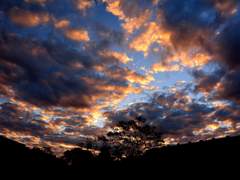 사이쿠스 │ 완벽하고 삐뚤어진