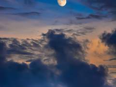 [논컾] 여행의 끝