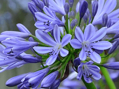 눈동자에 홀린다는게 무슨 말인가 했어.