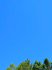 남자가 쓰는 BL [알레그로]