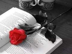 대답에 대해 내가 너에게 마음의 틈을 내어주게 되었다면