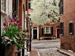 신비한 뒷골목 상점가 11~20