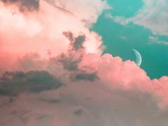 Nice to meet you, See you soon later :)