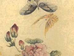 [ 수양/ 23 / 미어캣 인수 / 겁없는 어리석은 자. ]