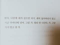 드로리안 보이 E