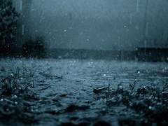 비각제이 드림 마을 수호신X마을 인간