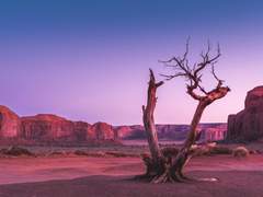 용기사는 신기루를 향해