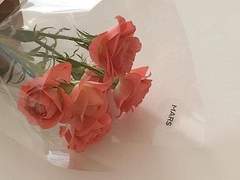 짙은 향수향에 취해가고.