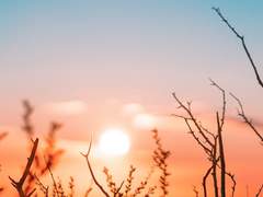 [에이든 맥퍼슨/27/여성/엔지니어]