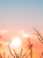 에이든 맥퍼슨 Aiden Mcpherson