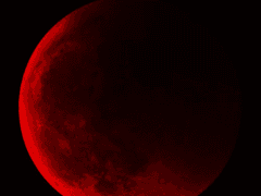 [석부]滅(The last.)