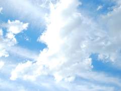 유서화연 연성교환