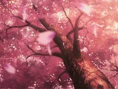 자네만을 기억하네. 오다사쿠.