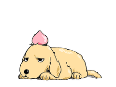 [공지] 꼭 먼저 읽어주세요!!