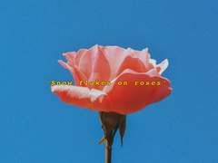 [채햄] Snowflakes on roses 1부 (1)