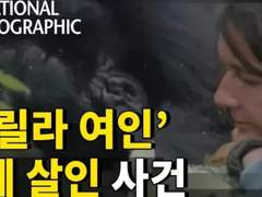 '고릴라 수호자' 미제 살인 사건