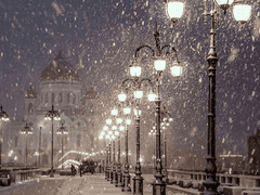 사랑에 빠진 화이트