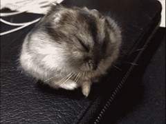 거미수호자거미로 제목도 민망타