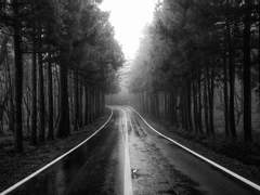 이것이 나의 최악, 그것이 나의 최선