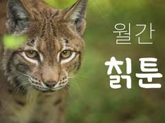 [칡툰] 우리 다시 만날 수 있을까요? 저는 칡입니다