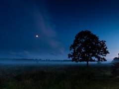 [달국X여난] 여난 집에서.