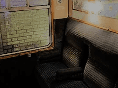 Mishka Evergreen. 02