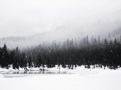 이름 잃은 순례자들 1