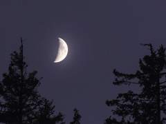 월하정인(月下情人) 05