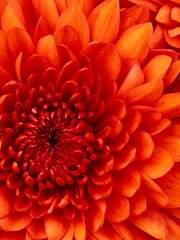 　　└[혁엔] 달의 연화(煙花)