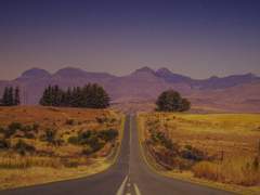 지구에서의 마지막 밤