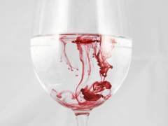 음침한 악마, 마락스 렉터