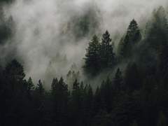 웨이란: 아란, 머리카락을 내려 줘! 中-2