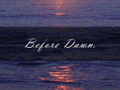 한낮까지 [Before Dawn] 티알후기