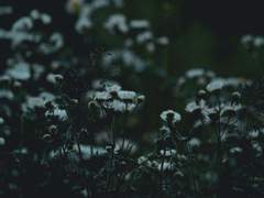 #아무도 모르는 비밀