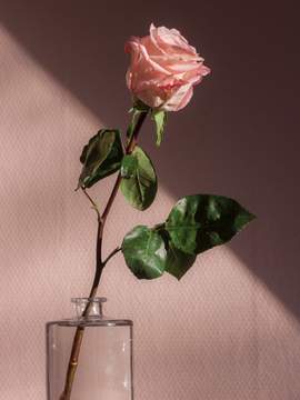 Andante series Playlist