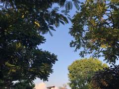 양아치의 계절 29화