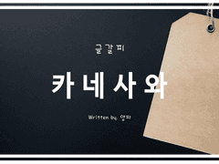 [◇A/카네사와] 부정기