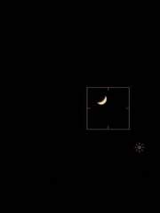 벚꽃이 피는 순간