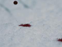 [(남)아델베로] 낙인에 대하여 上