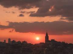 [도일희도]Toxin - 8