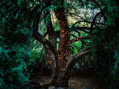 [용사퍼블] 넘버원 셔가문