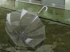 [성필] Summer lover