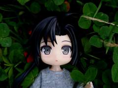 토끼풀과 함께한