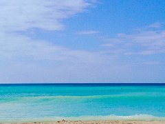 라하이나의 정오