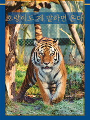 호랑이도 제 말하면 온다